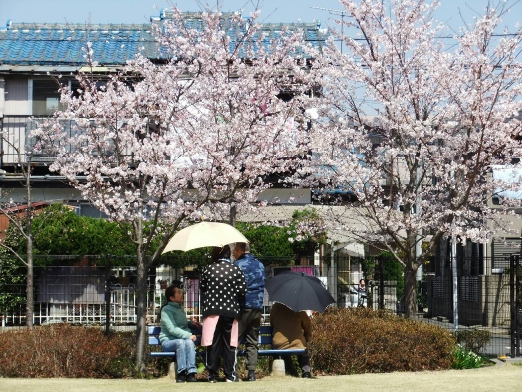 利用者様たちとの花見